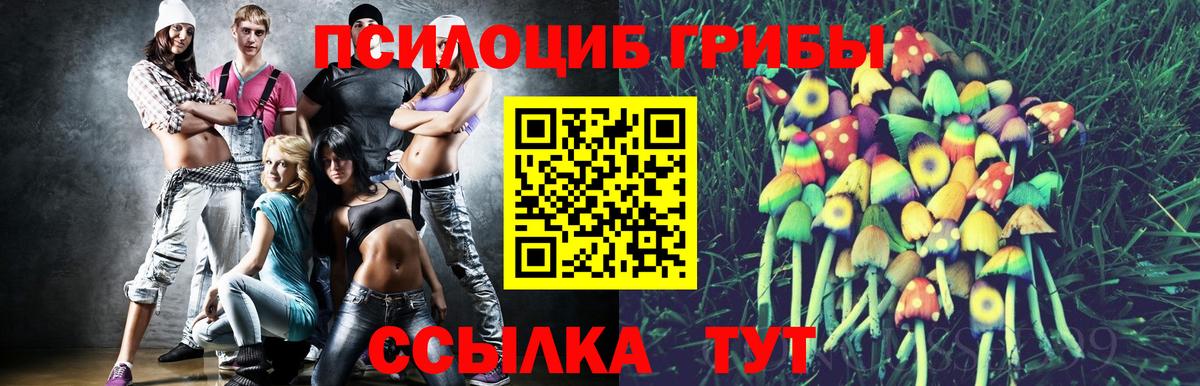 Псилоцибиновые грибы MAGIC MUSHROOMS Нарьян-Мар